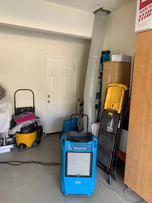 Vital Restoration Picture 6