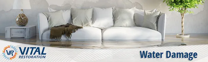 Vital Restoration Picture 1