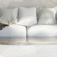 Vital Restoration ico