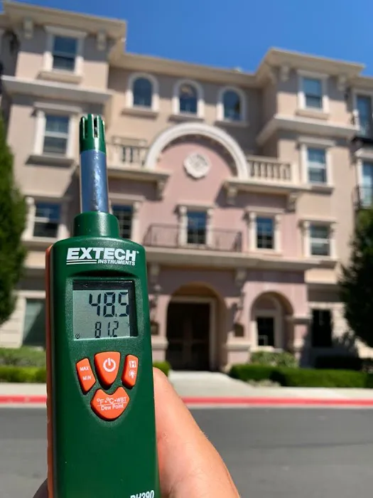 Vital Restoration Picture 4