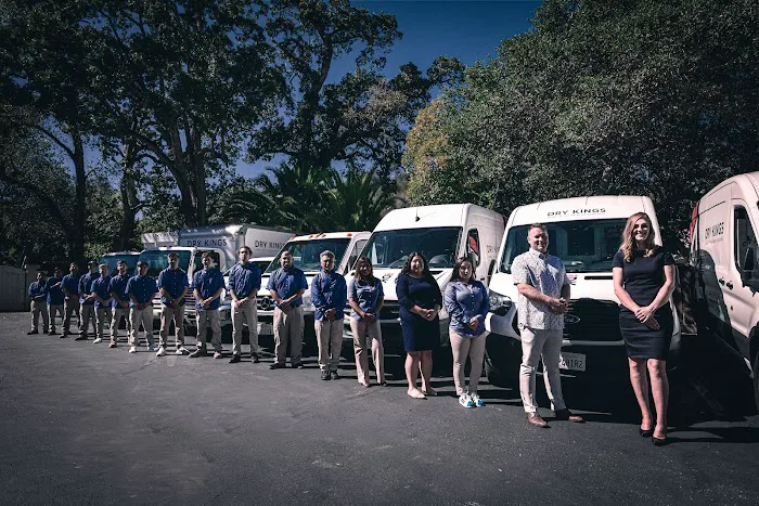 Dry Kings Restoration of Marin Picture 5