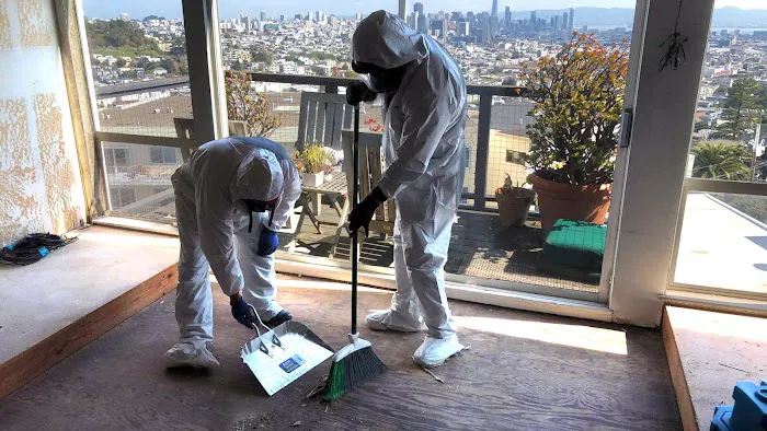 Dry Kings Restoration of Marin Picture 6