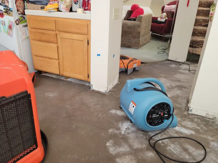 Reactic Restoration Picture 6