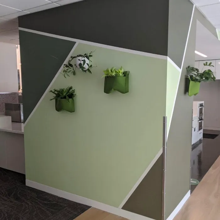 McCarthy Painting Co. Picture 8