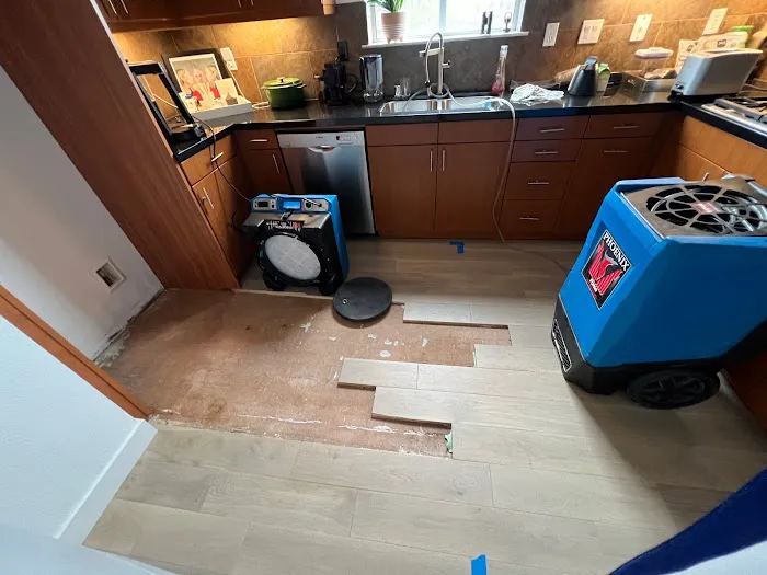 RestoreX Restoration Picture 7