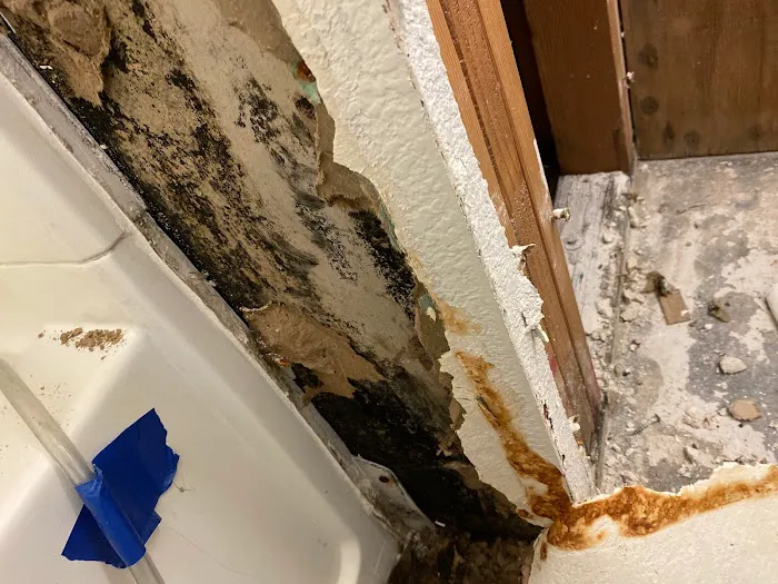 RestoreX Restoration Picture 4