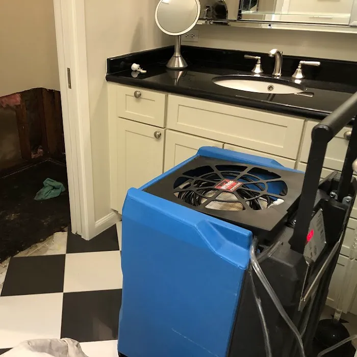 RestoreX Restoration Picture 2