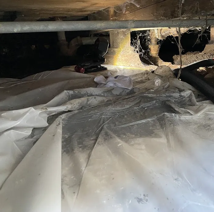 RestoreX Restoration Picture 3