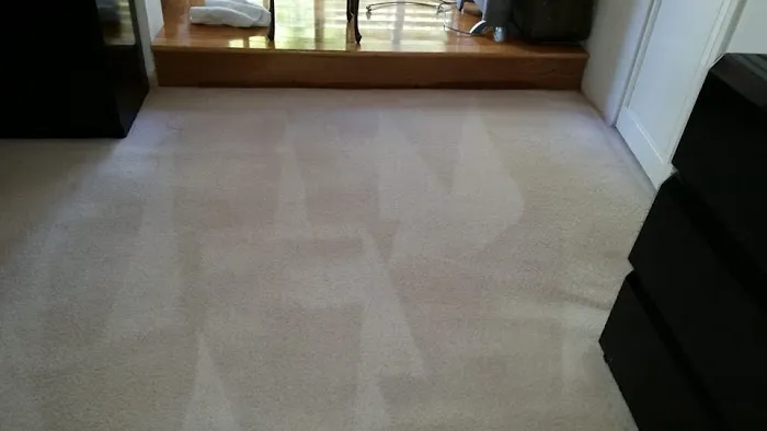 Chem-Dry of Marin Picture 6