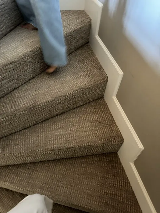 Chem-Dry of Marin Picture 3