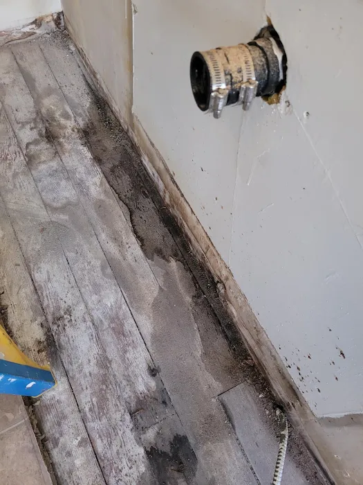 AF+ Mitigation & Restoration Picture 10