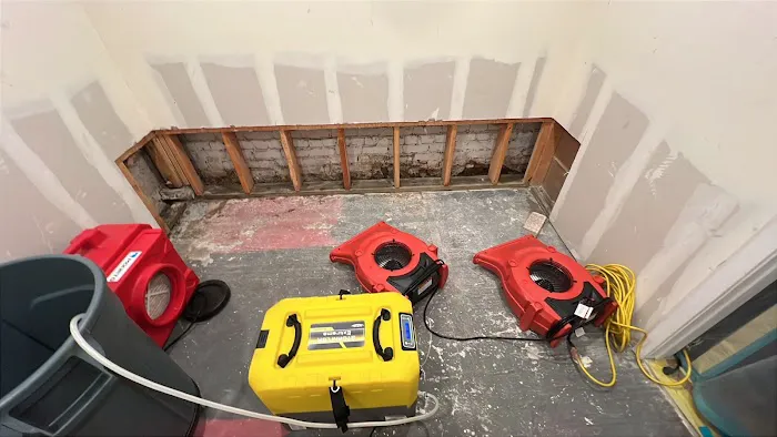 All Hands Restoration Picture 9