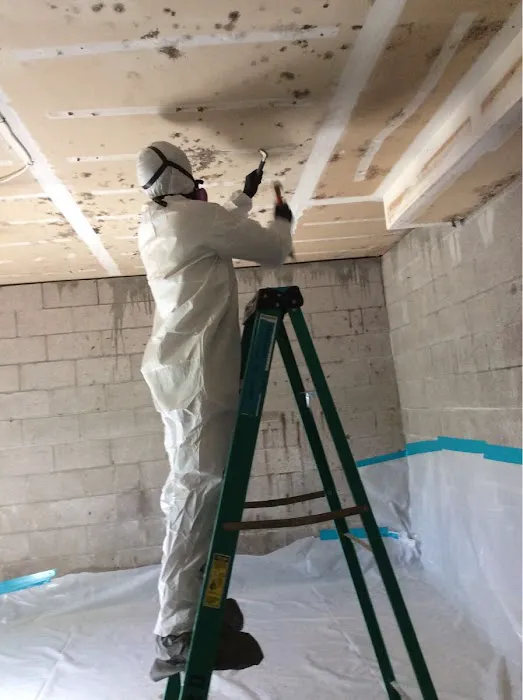 SERVPRO of Lafayette/Moraga/Orinda Picture 2