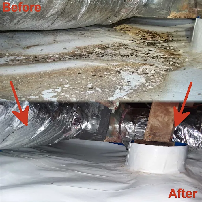 Restoration Certified Specialists, Inc. Picture 10