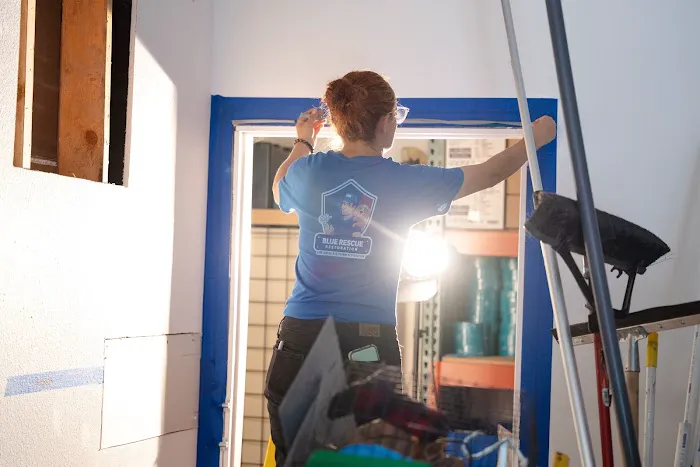 Blue Rescue Restoration Picture 1