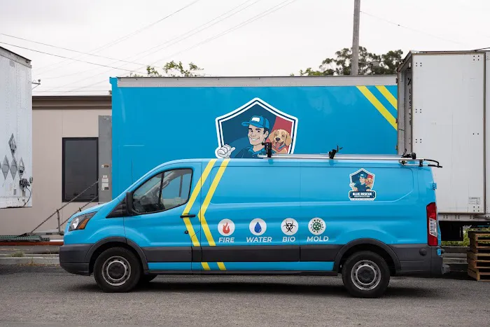 Blue Rescue Restoration Picture 10