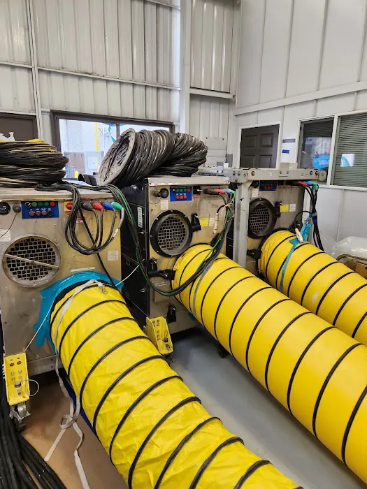 Blue Rescue Restoration Picture 8