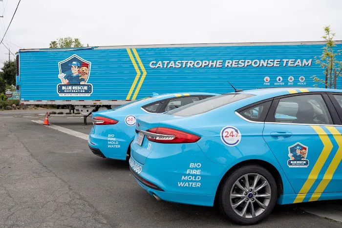 Blue Rescue Restoration Picture 4