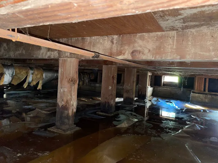 Northern California Restoration Picture 2