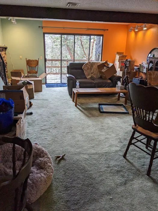 Stanley Steemer Picture 6