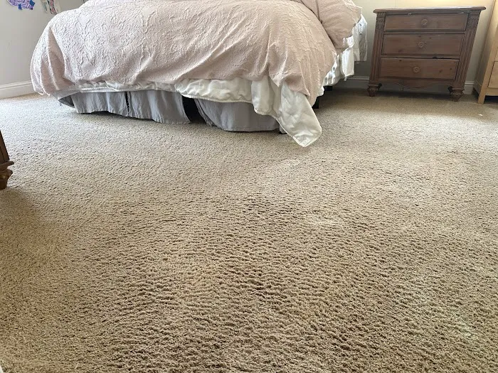 Stanley Steemer Picture 2