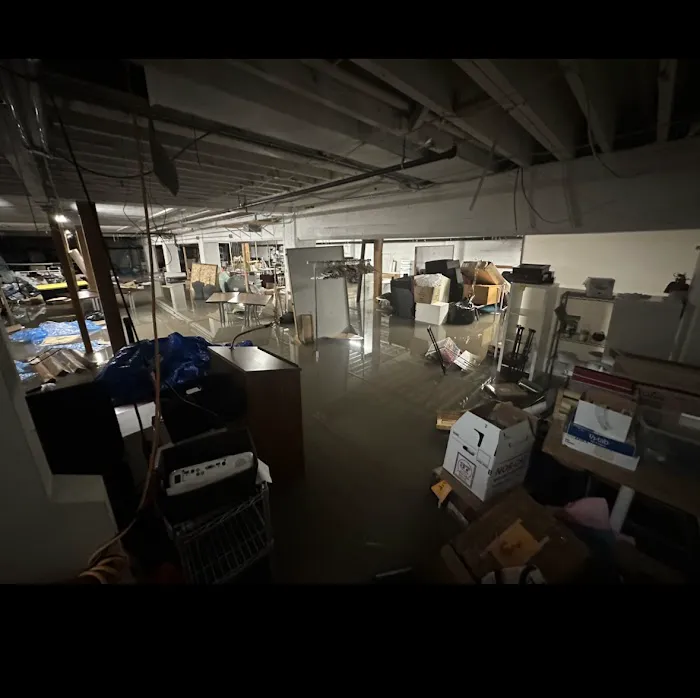 The Cleanup Company Picture 3