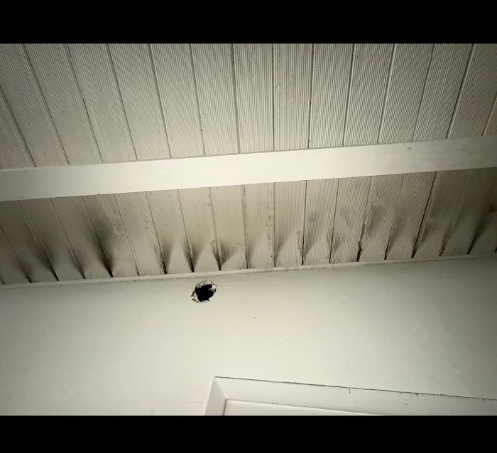 The Cleanup Company Picture 2