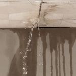 Efficient Antioch Water Damage & Plumbing Specialists