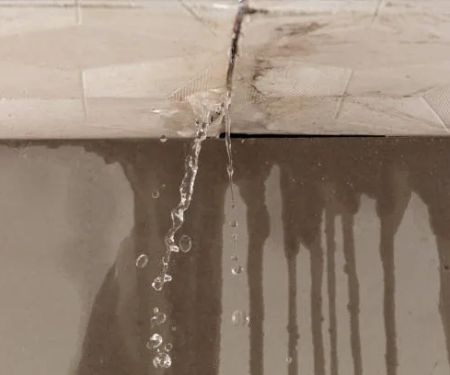Efficient Antioch Water Damage & Plumbing Specialists