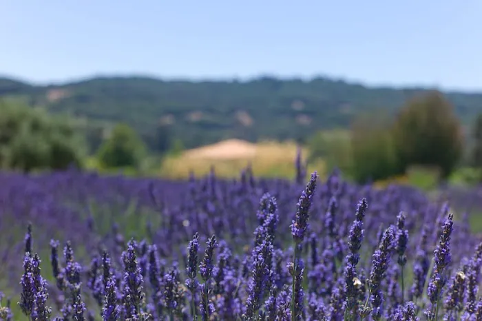 Wolff Contracting, Inc Picture 7