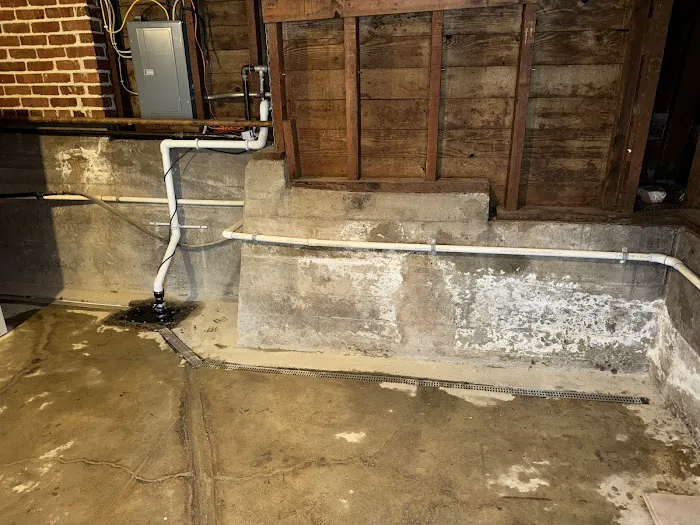 Under The House. Picture 3