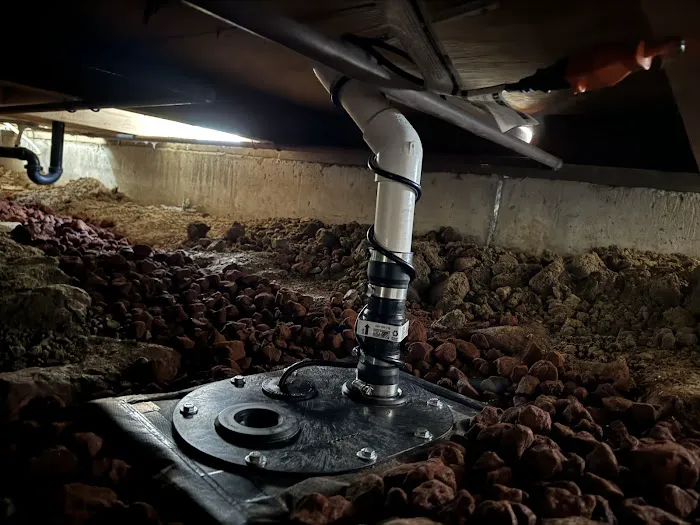 Under The House. Picture 1