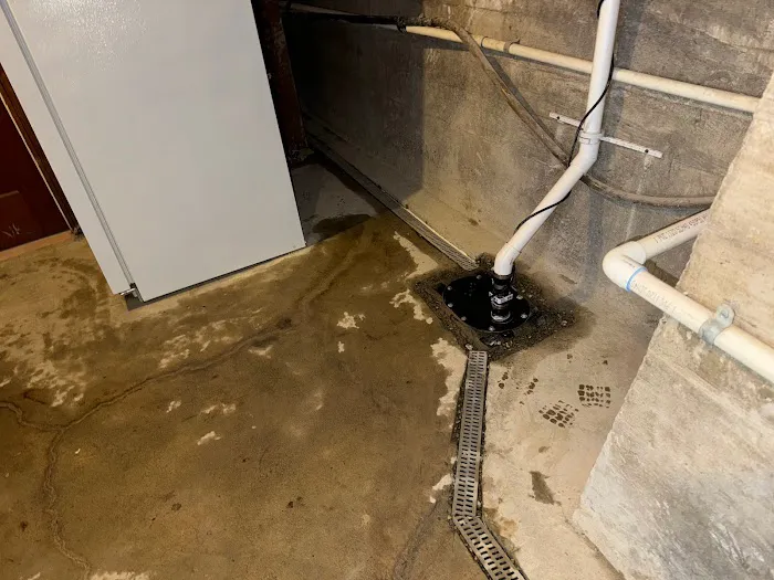 Under The House. Picture 2