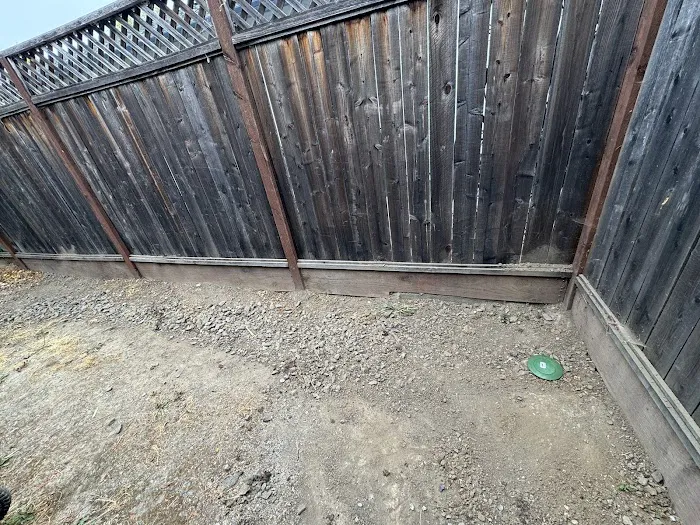 Under The House. Picture 4