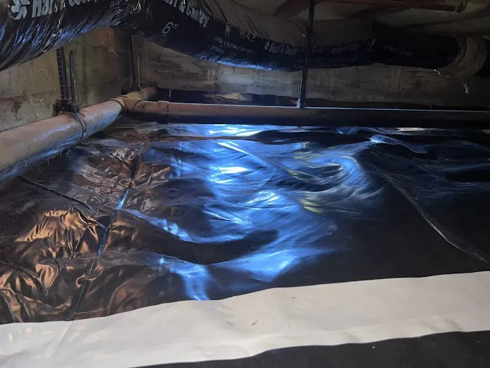 Under The House. Picture 6