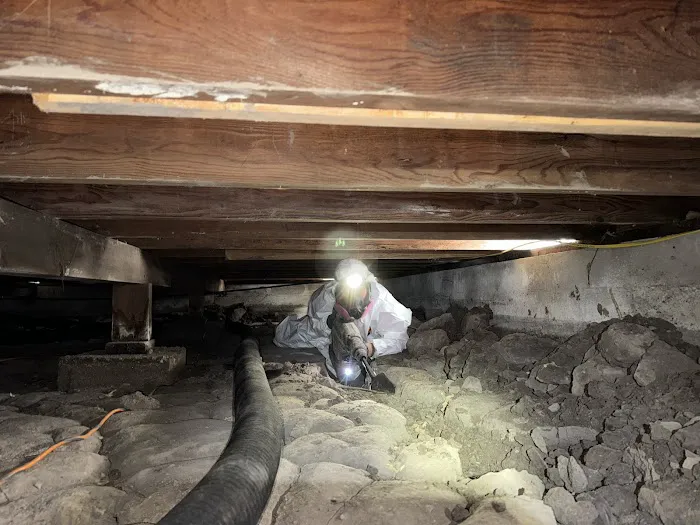 Under The House. Picture 5