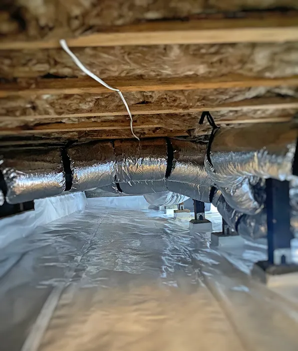 Under The House. Picture 8