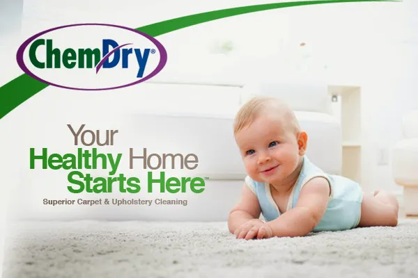 On The Spot Chem-Dry Picture 1