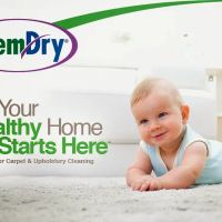 On The Spot Chem-Dry ico