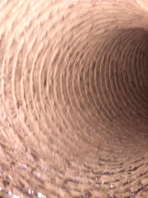 COIT Cleaning and Restoration Picture 9