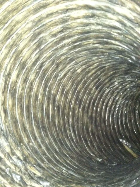 COIT Cleaning and Restoration Picture 3