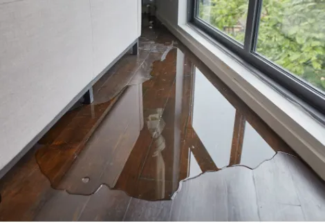 Angel in the Water Damage LLC Picture 2