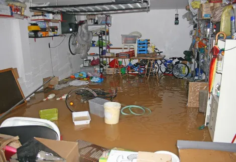 Angel in the Water Damage LLC Picture 3