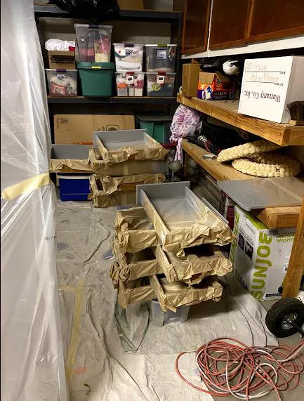 The Painted Finish Picture 6