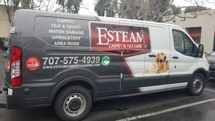 Esteam Carpet & Tile Care Picture 3