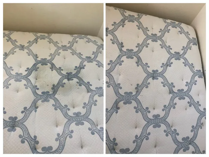 Esteam Carpet & Tile Care Picture 7