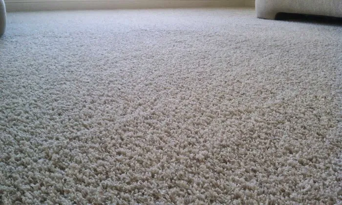 Esteam Carpet & Tile Care Picture 10