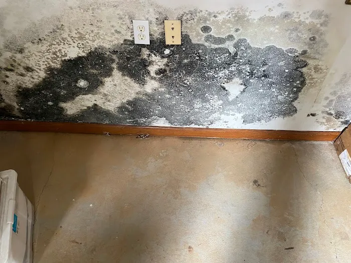 Viva Property Restoration Picture 3