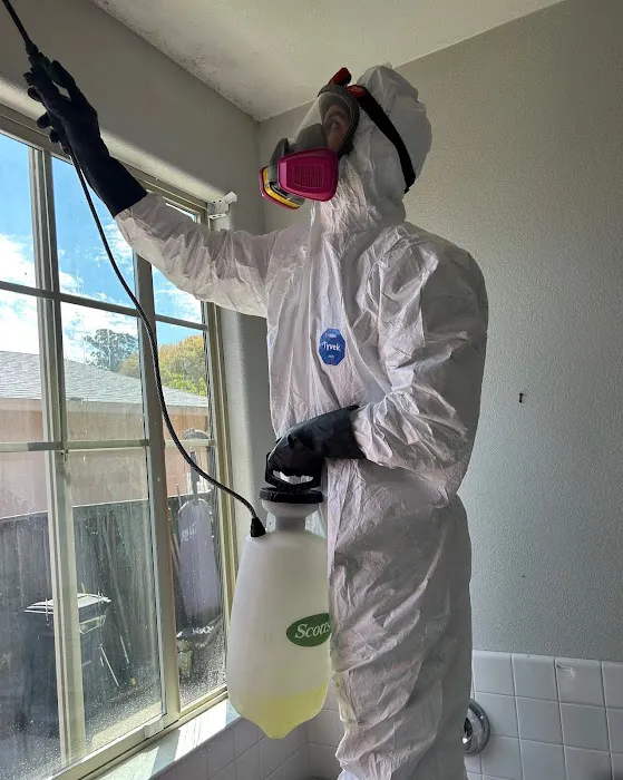 Viva Property Restoration Picture 6