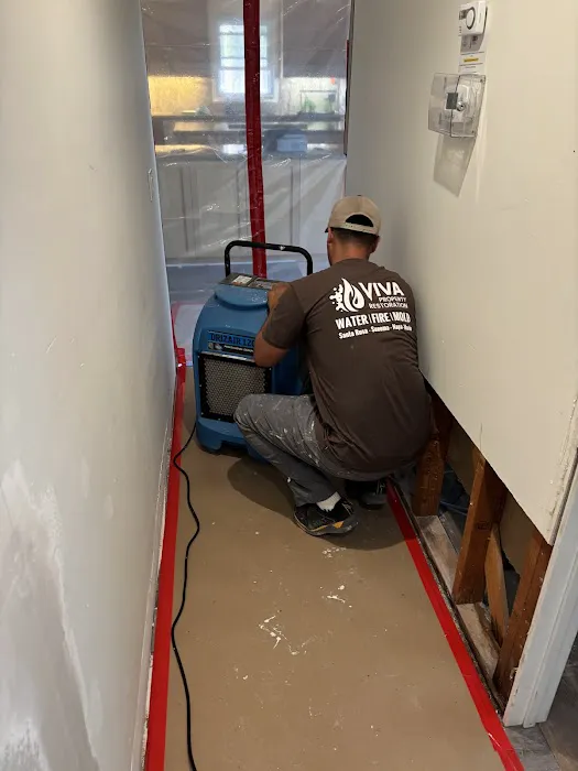 Viva Property Restoration Picture 4